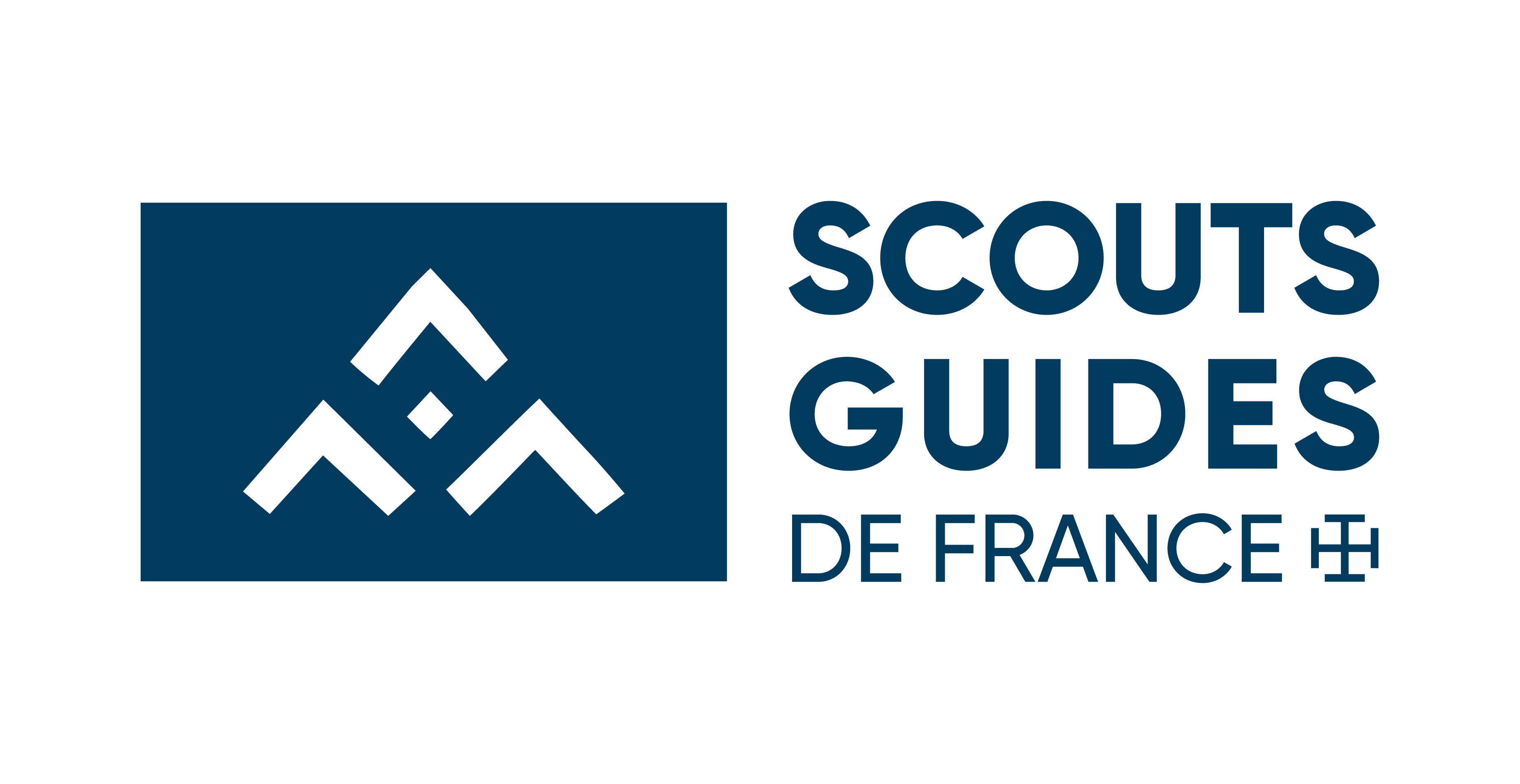 Scout De France Logo